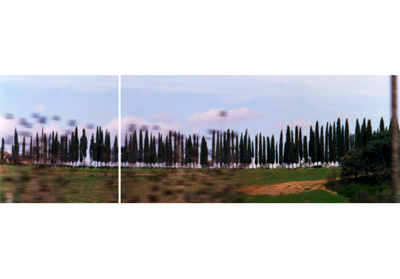 Untitled Diptych (Tuscan Trees)